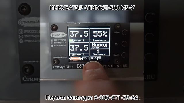 Инкубатор Стимул-500 М2-У. Первая закладка смотреть онлайн