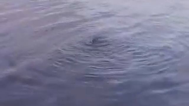 ОСТАШОВКА.УМАНЬ смотреть онлайн