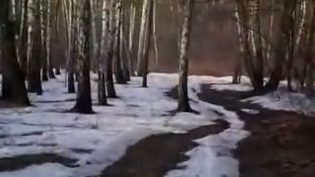 Первые капли сока березы смотреть онлайн