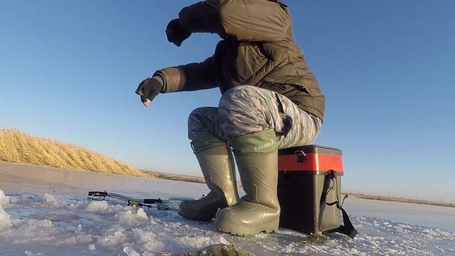 ЛУЧШАЯ БЕЗМОТЫЛКА ПО ОКУНЮ!!! - Дикий клев крупного окуня!!! смотреть онлайн