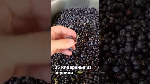 #варенье из черники #махачкала #дагестан #3000 метров над уровнем моря. смотреть онлайн