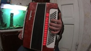 Как сыграть на Аккордеоне Любую песню. Как играть аккордами?