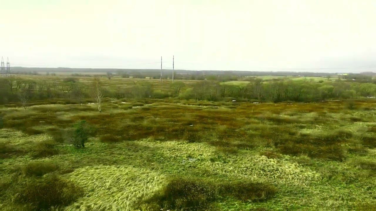 Участок 7 сот. ИЖС п. Рощино Калинингадской области. смотреть онлайн