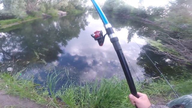 Рыбалка и грибалка около города!???#щука #плотва смотреть онлайн