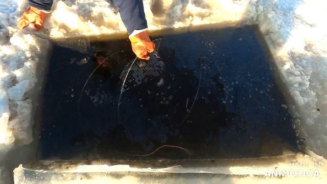 ПРОВЕРЯЕМ МОРДУШКУ, ПОЙМАЛИ МОНСТРОВ We check the muzzle caught monsters смотреть онлайн