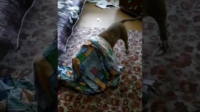 Лёха Воронежский, 1 год смотреть онлайн
