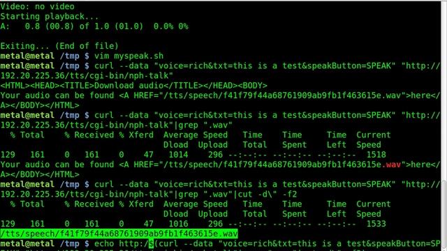 Text to Speech - without Espeak- BASH смотреть онлайн