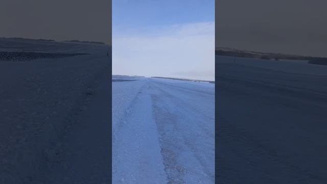 Лето и зима, поле с подсолнухами так и не убрали!? смотреть онлайн