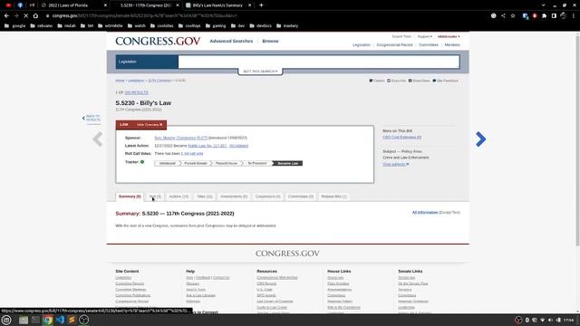 Software - Using ChatGPT to summarize laws ** смотреть онлайн