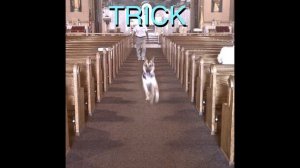 alex g - forever (rus/перевод)