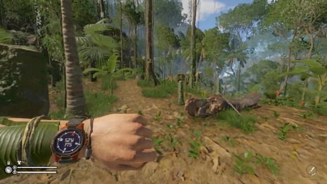 Самые ВАЖНЫЕ КООРДИНАТЫ в GREEN HELL смотреть онлайн