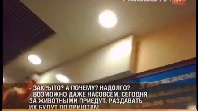 Животных контактного зоопарка оказались... смотреть онлайн