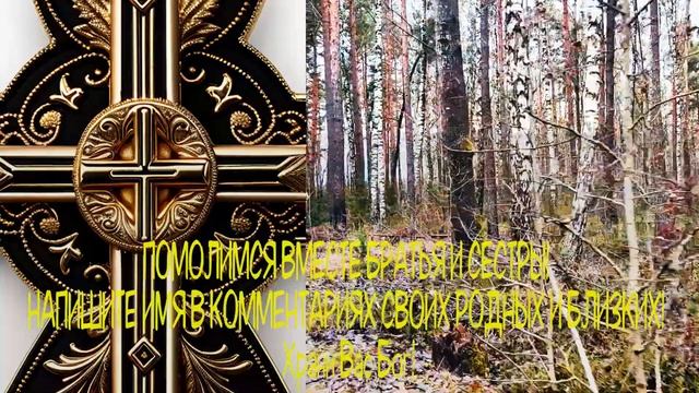 ?Молитва 12 ДЕКАБРЯ Если успеешь прочесть, большое счастье придет? смотреть онлайн