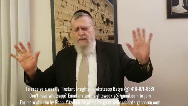 Parshas Vayechi Rabbi Feigenbaum смотреть онлайн