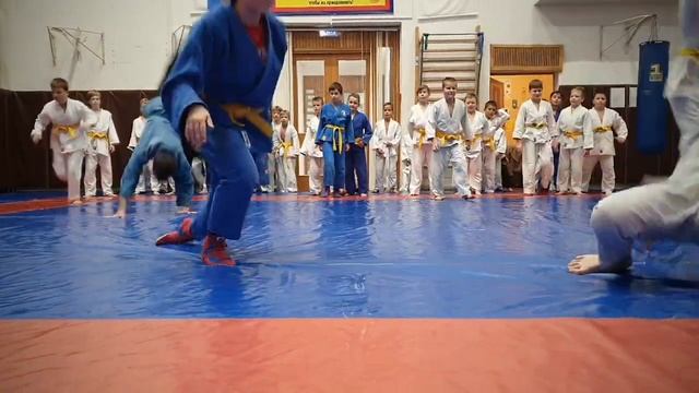 Общая разминка перед тренировочными схватками в клубе ОРЛАН. 30.09.2022 г. смотреть онлайн