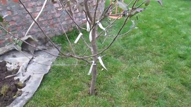 MVI 9877 смотреть онлайн