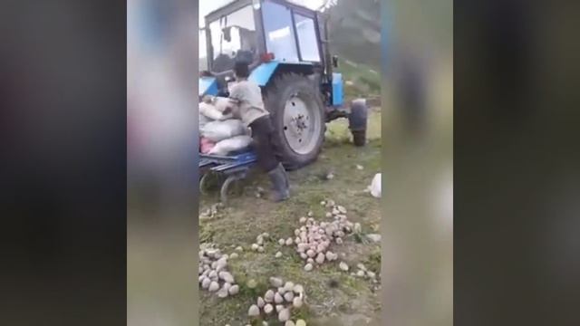 Канаск РОМИТ смотреть онлайн