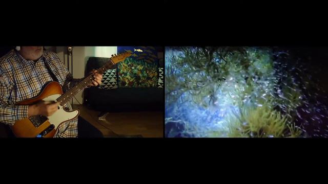 NEXT DIMENSION - guitar & synth music - MEDITATION CHILL OUT - FENDER CS 61 Telecaster - SUNNYROSE смотреть онлайн