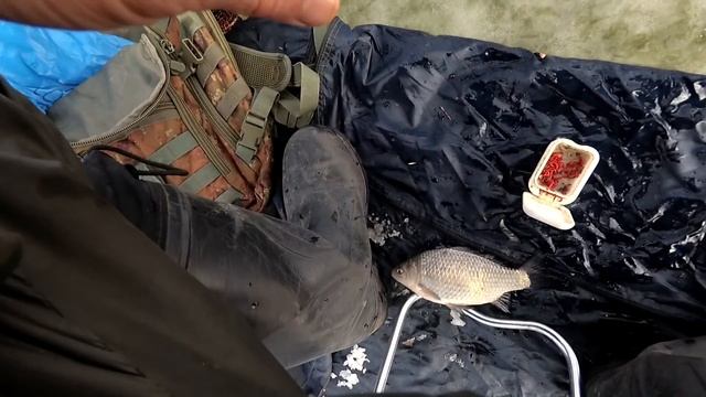 Ловля Карася Зимой, со льда. Лунки рядом, а ловится в одной! смотреть онлайн