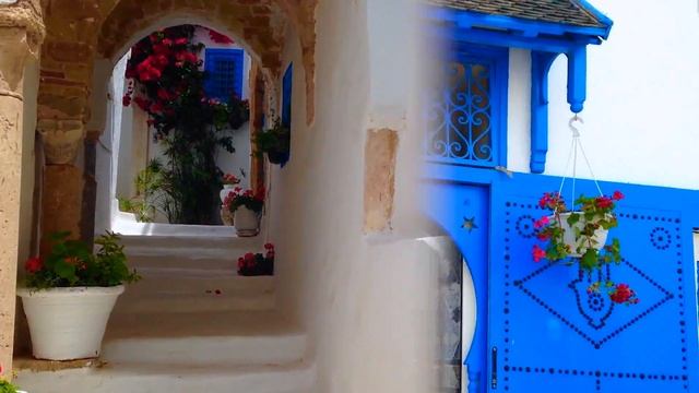 Yasmine Hammamet Tunisia | Vincci Flora Park | Tunis & Sidi Bou Said смотреть онлайн