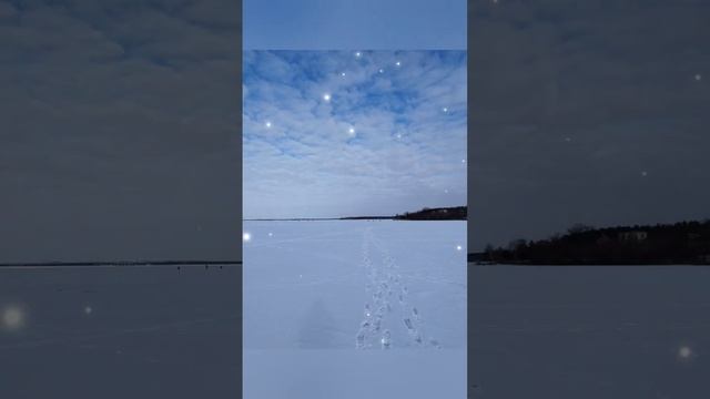 Рыбалка на Матырском водохранилище Серия 4 смотреть онлайн