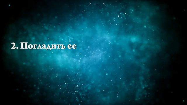 К чему снится серая кошка — Онлайн Сонник Эксперт смотреть онлайн