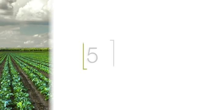 Топ-10 технологий, которые изменят сельское хозяйство. смотреть онлайн