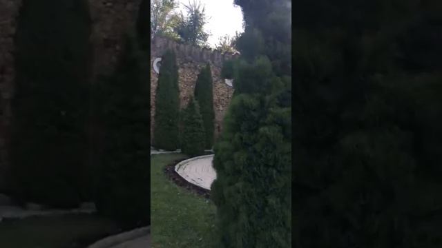 Дунайские волны... чудесный вальс смотреть онлайн