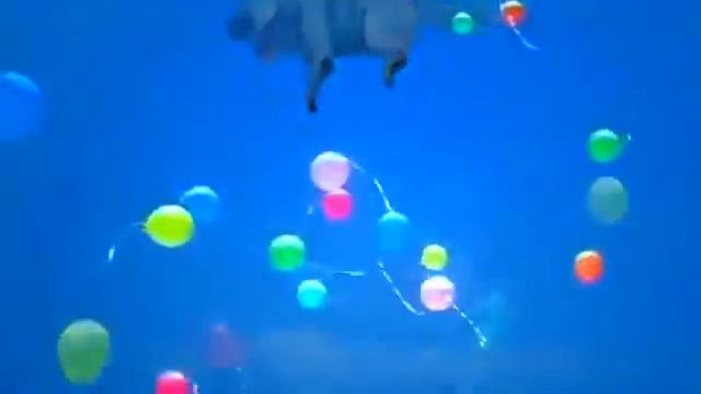 Шарики воздушные Веселая детская песенка смотреть онлайн