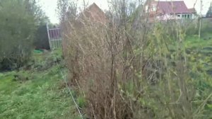 Забор/ограждение из пластиковой сетки