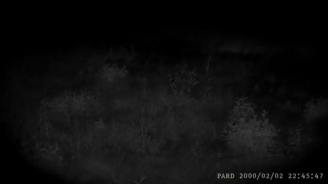 Пард 007а смотреть онлайн