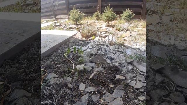 Тепло и техническая поддержка