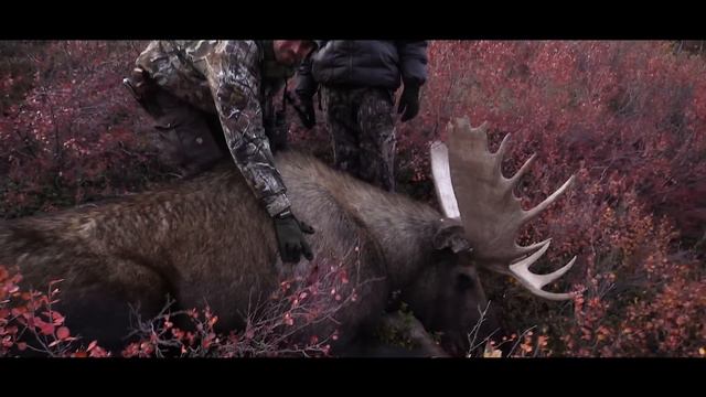 Canadian Double - Hunting Moose And Caribou