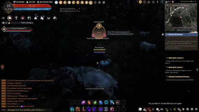[Everfrost] Commune | Black Desert Online Quests смотреть онлайн