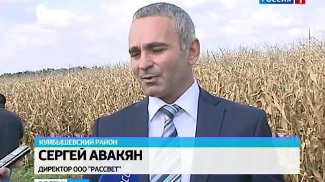 Гигантская кукуруза на Дону — эффективность капельного орошения смотреть онлайн