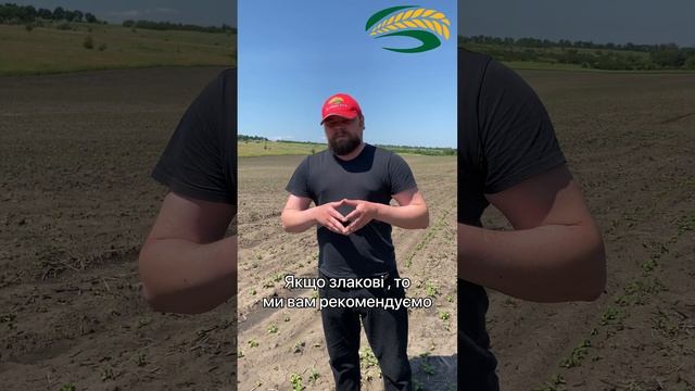 Клетодим та хізалофоп ? смотреть онлайн