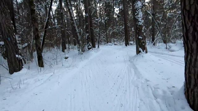 Первая проба Atomic S9 Carbon