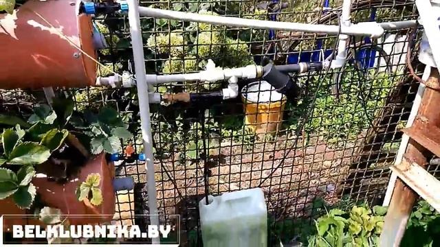 Технологии. Клубника. смотреть онлайн
