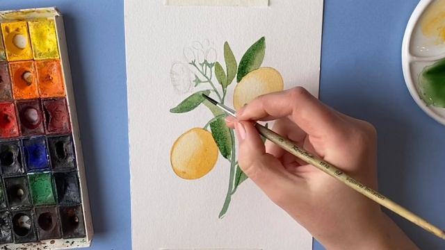 Веточка с апельсинами и цветами. Рисуем поэтапно акварелью и акварельными карандашами смотреть онлайн