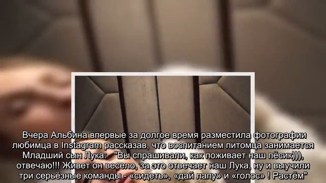 ✅ У Альбины Джанабаевой и Валерия Меладзе подрастает третий ребёнок смотреть онлайн
