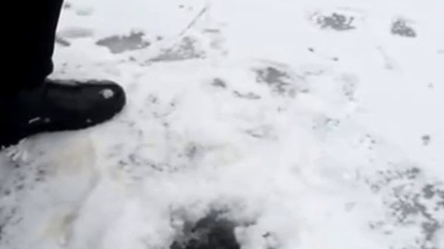 Диалоги о рыбалке часть II смотреть онлайн