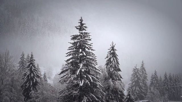 Расслабляющая музыка для отдыха смотреть онлайн