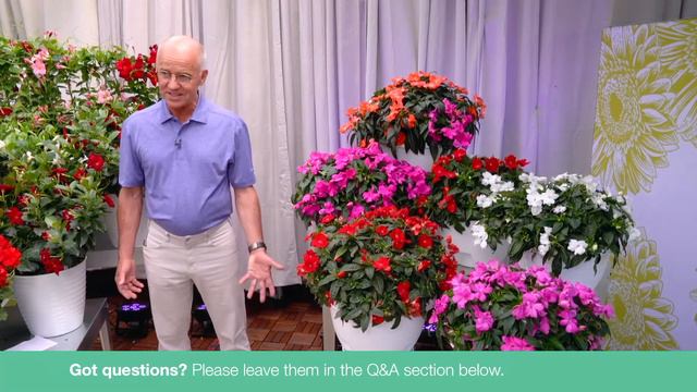 Matt’s Favorite Vegetative New Varieties | webCAST Live 2021 смотреть онлайн