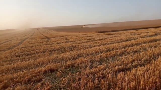 Финал жатвы 2021, завершение уборки в с. Нещеретово Луганской области. смотреть онлайн