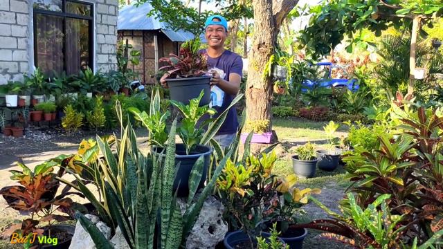 Unique garden idea|How to maximize garden space|Garden transformation смотреть онлайн