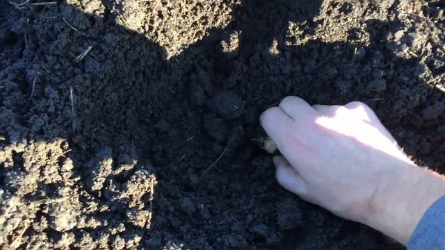 Состояние Чеснока на 09.12.2018 смотреть онлайн