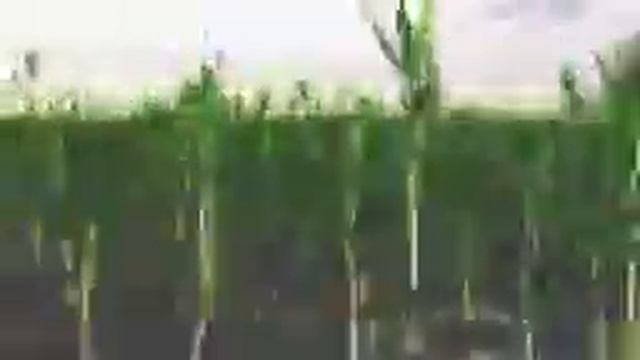 test glass vue xstream смотреть онлайн