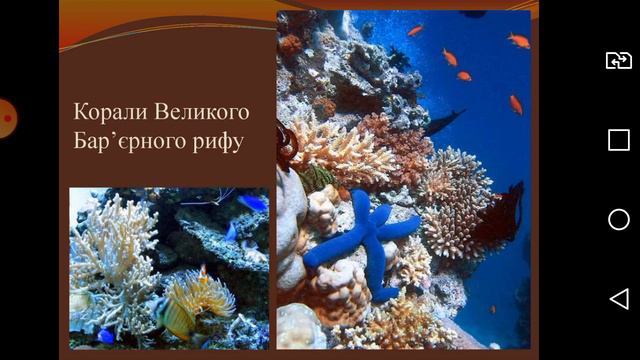 Географія 7 клас "Органічний світ Тихого океану" Вчитель Андрєєва Л.О. смотреть онлайн