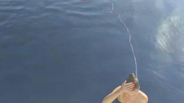 Купание в открытом море октябре. смотреть онлайн