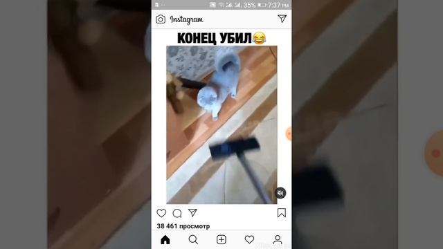 ИНСТАГРАМНАН ВИДЕО КӨШІРУ смотреть онлайн